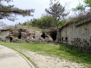 s-20120514 ryojyun (15).jpg